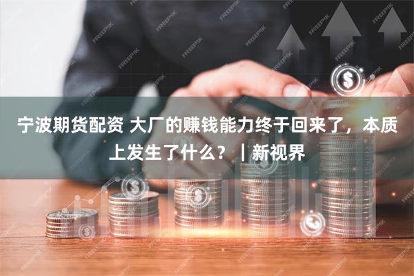 宁波期货配资 大厂的赚钱能力终于回来了，本质上发生了什么？｜新视界