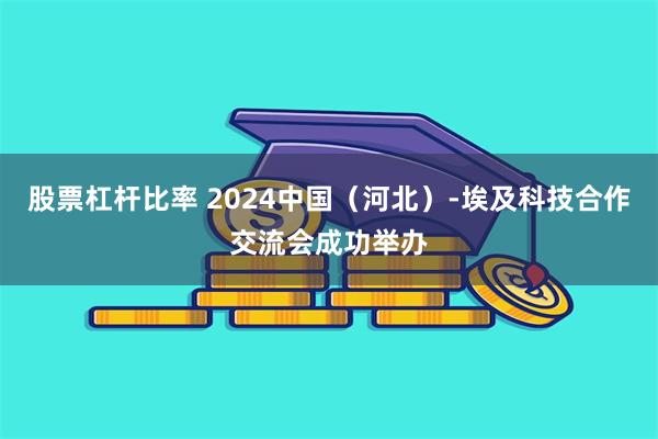 股票杠杆比率 2024中国（河北）-埃及科技合作交流会成功举办