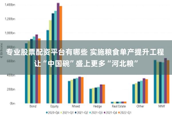 专业股票配资平台有哪些 实施粮食单产提升工程 让“中国碗”盛上更多“河北粮”