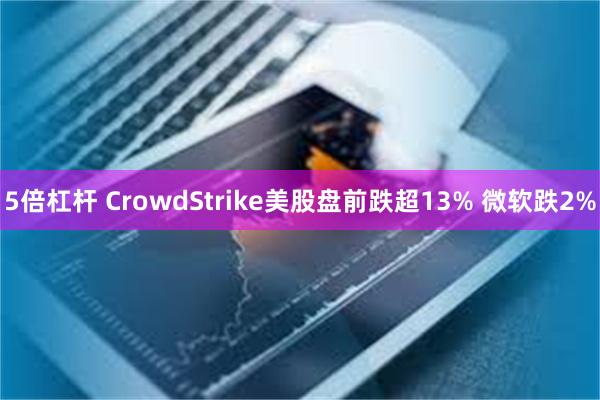 5倍杠杆 CrowdStrike美股盘前跌超13% 微软跌2%