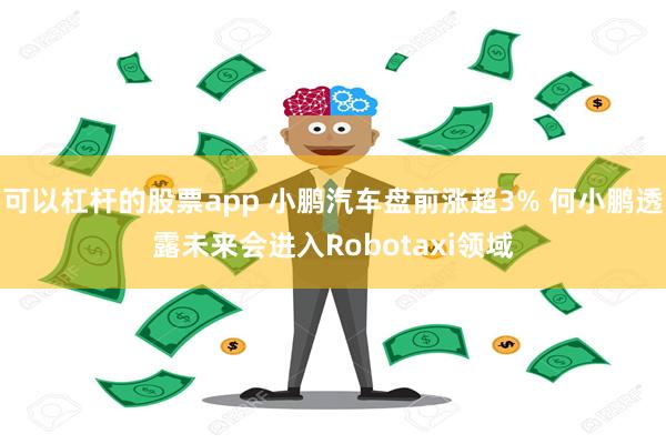 可以杠杆的股票app 小鹏汽车盘前涨超3% 何小鹏透露未来会进入Robotaxi领域