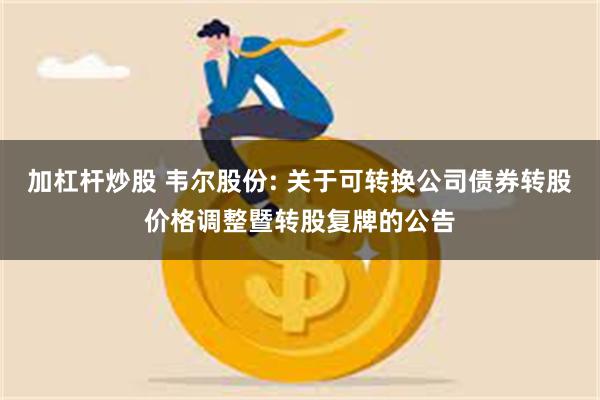 加杠杆炒股 韦尔股份: 关于可转换公司债券转股价格调整暨转股复牌的公告