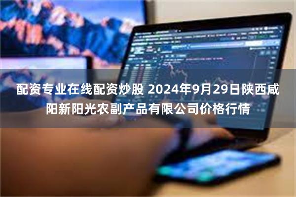 配资专业在线配资炒股 2024年9月29日陕西咸阳新阳光农副产品有限公司价格行情