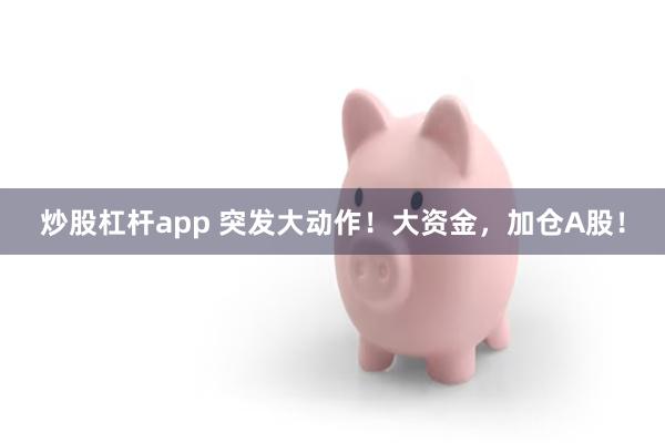 炒股杠杆app 突发大动作！大资金，加仓A股！