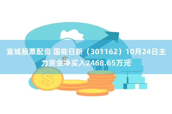 宣城股票配资 国能日新（301162）10月24日主力资金净买入2468.65万元