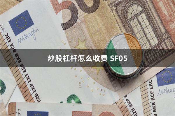 炒股杠杆怎么收费 SF05