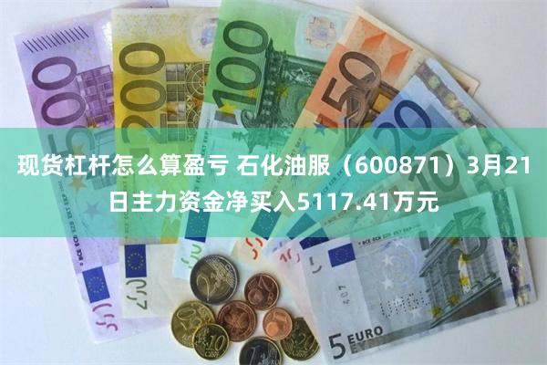 现货杠杆怎么算盈亏 石化油服（600871）3月21日主力资金净买入5117.41万元