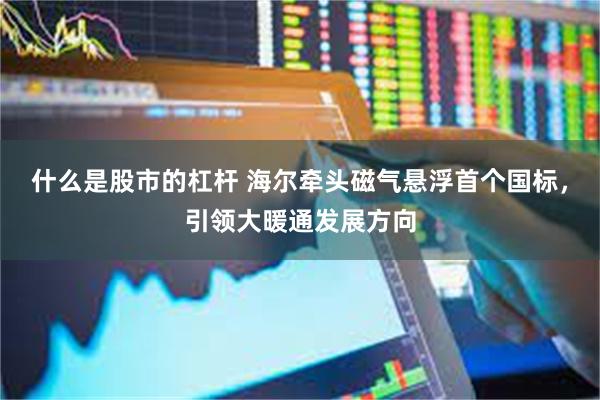 什么是股市的杠杆 海尔牵头磁气悬浮首个国标，引领大暖通发展方向